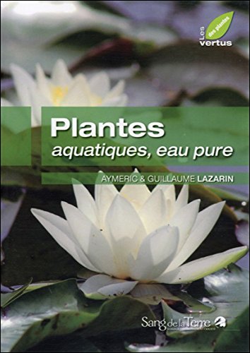 plantes aquatiques, eau pure