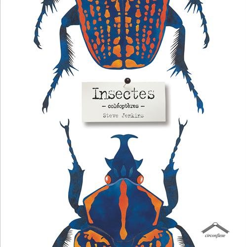 insectes, coléoptères