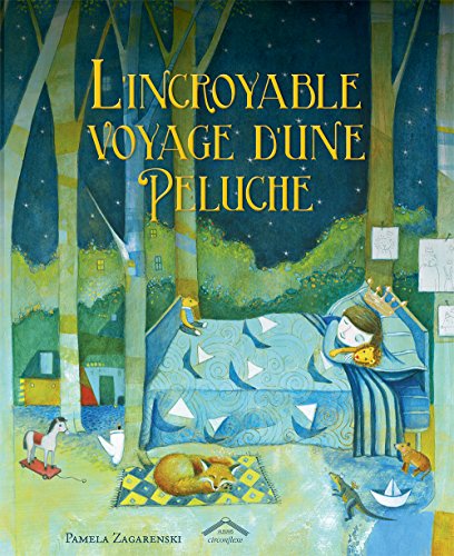 l' incroyable voyage d'une peluche  