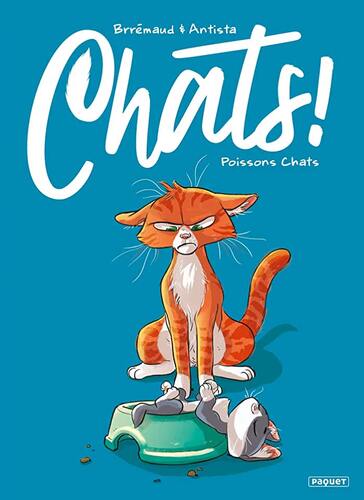 poissons chats [5]