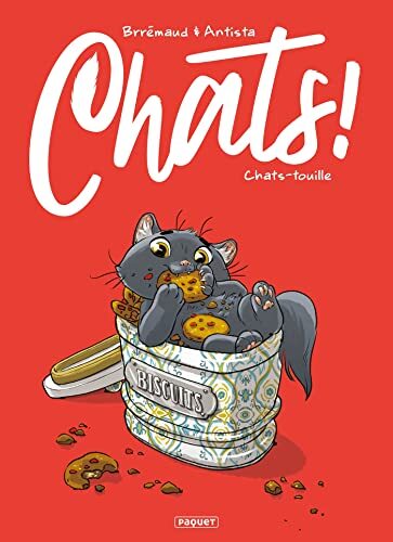chats-touille [4]