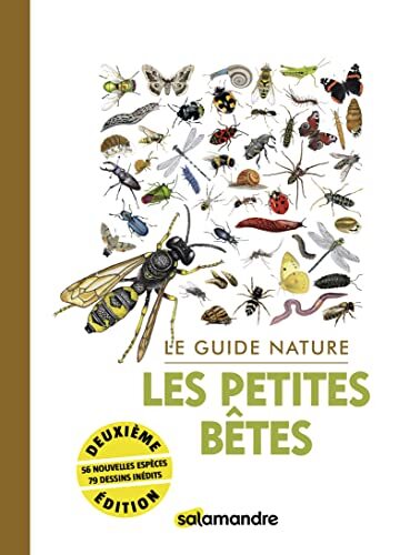 les petites bêtes