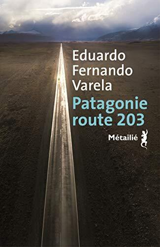 patagonie route 203