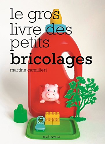 le gros livre des petits bricolages  