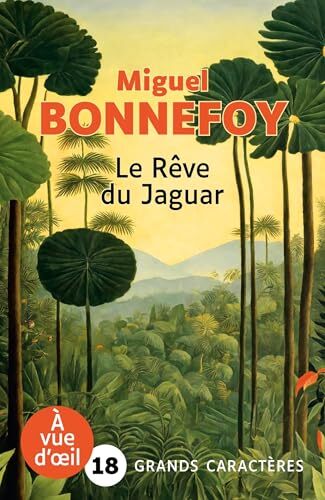 le rêve du jaguar  
