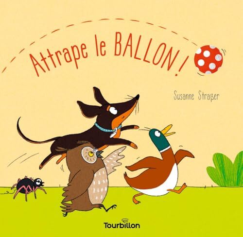 attrape le ballon !