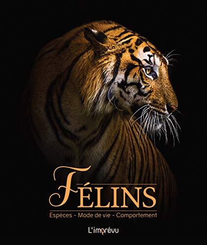 félins