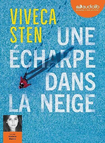 une écharpe dans la neige