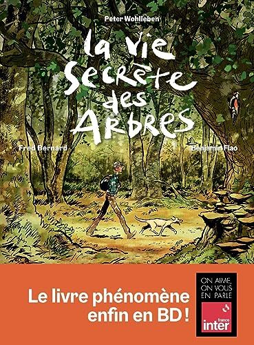 la vie secrète des arbres  