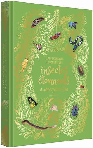 l' anthologie illustrée des insectes étonnants et autres petites bêtes  