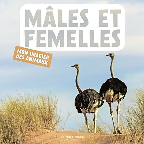 mâles et femelles