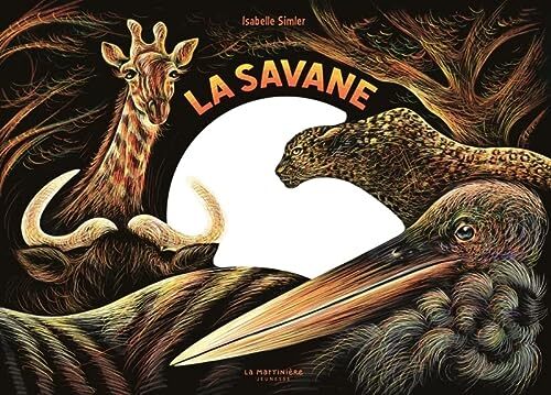 la savane une nuit...  