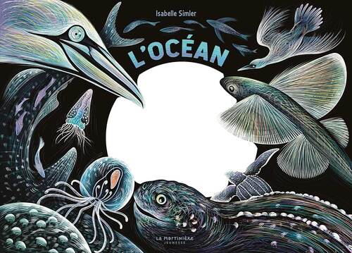 l' océan une nuit...  