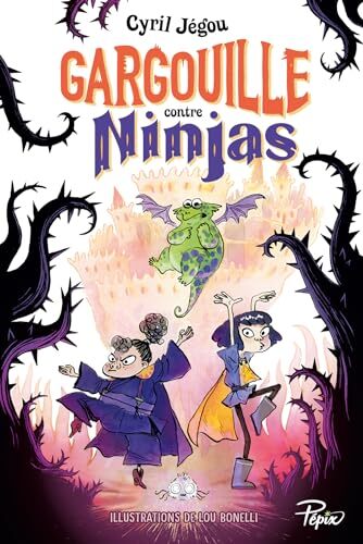 gargouille contre ninjas