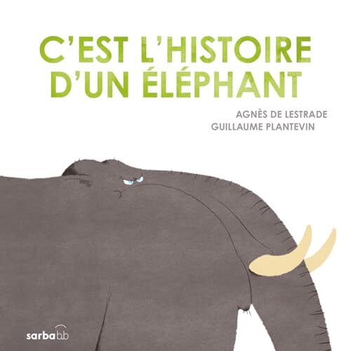 c'est l'histoire d'un éléphant