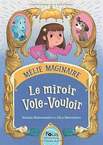 le miroir vole-vouloir  