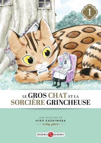 le gros chat et la sorcière grincheuse   [1]