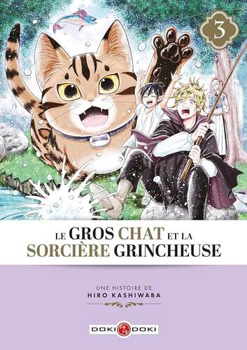 le gros chat et la sorcière grincheuse   [3]