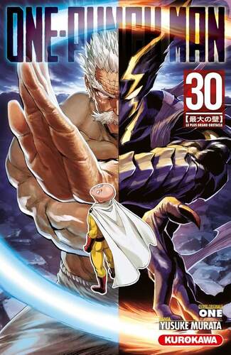 one-punch man [30]