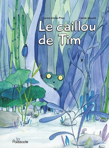 le caillou de tim  