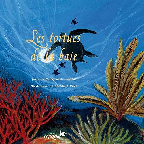 les tortues de la baie  
