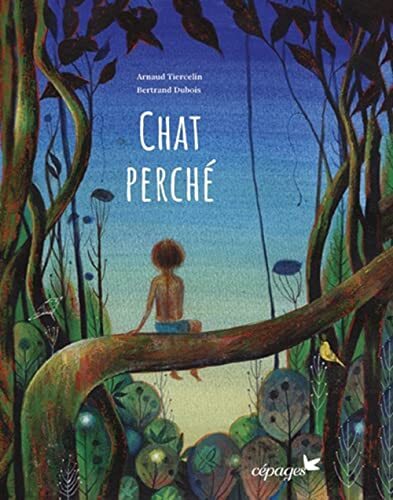 chat perché