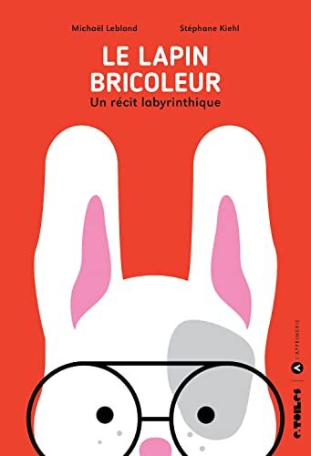 le lapin bricoleur  
